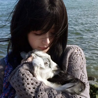 奈良晚秋 海报